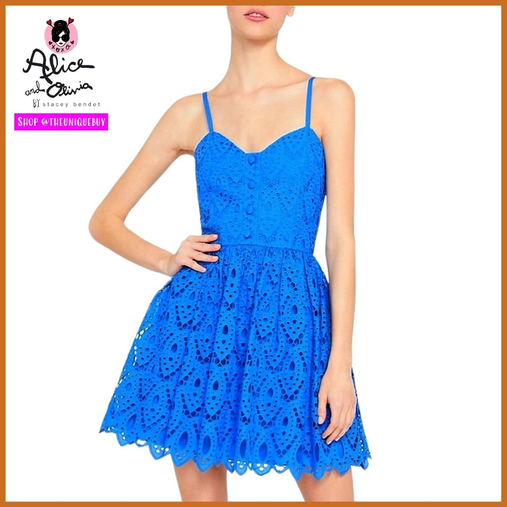 Alice + Olivia Nella Embroidered Blue Eyelet Flared Mini Dress